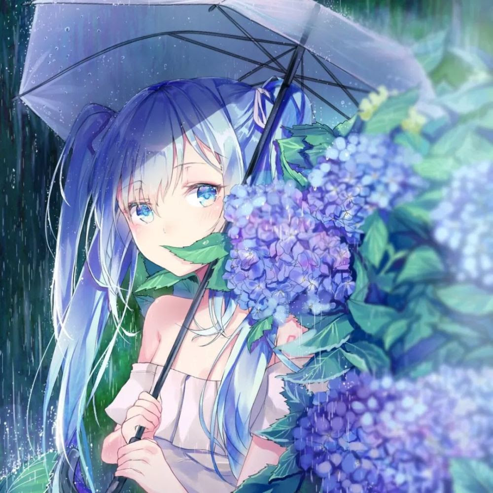 紫陽花壁紙 高品質の壁紙のhd壁紙