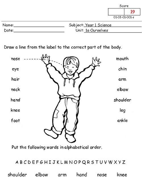 English Worksheets Year 1 Uk