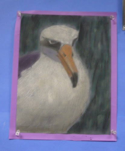 gull