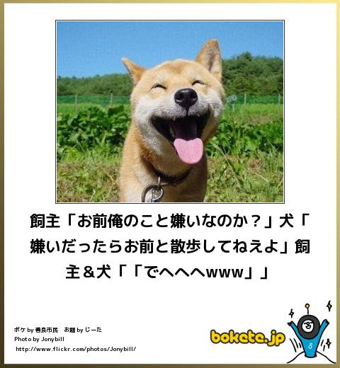 すべての動物画像 これまでで最高の犬 面白い画像 動物