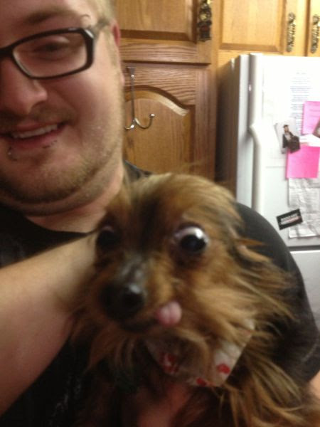 Daily Picdump Daily Picdump