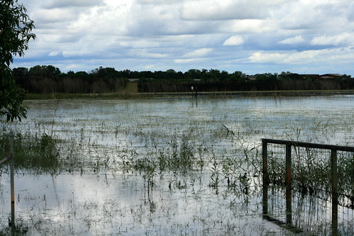 Knuckey's Lagoon