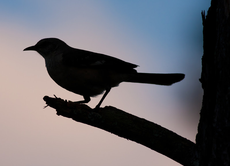 Photo & Video Sharing by SmugMug Photo & Video Sharing by SmugMug