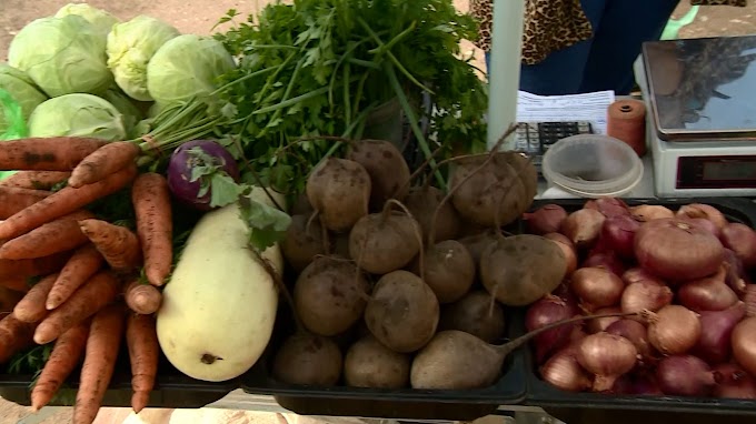 В Ярославской области самая низкая цена на картофель в ЦФО