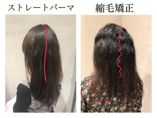 くせ毛 パーマ おすすめ Naim Minhas