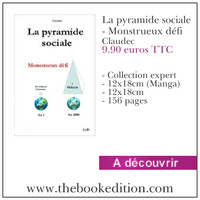Le livre La pyramide sociale - Monstrueux défi