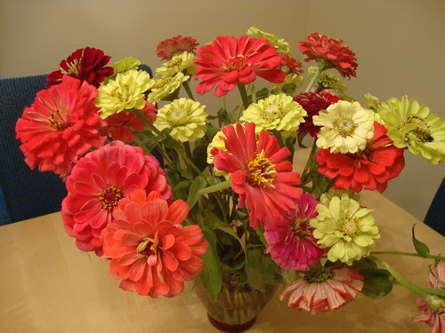 Princeton farmer's market flowers