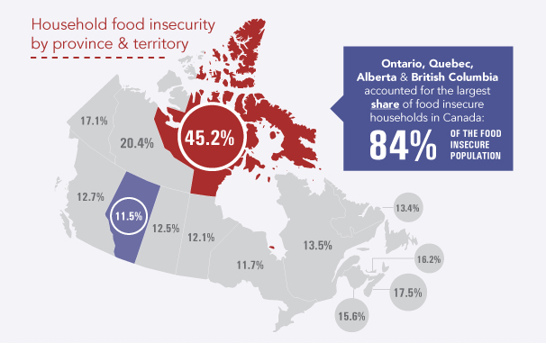 Image result for food insecurity in canada