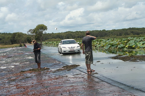 Tourists at Fogg Dam