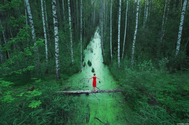 bosque en rusia que parece que no tiene fin
