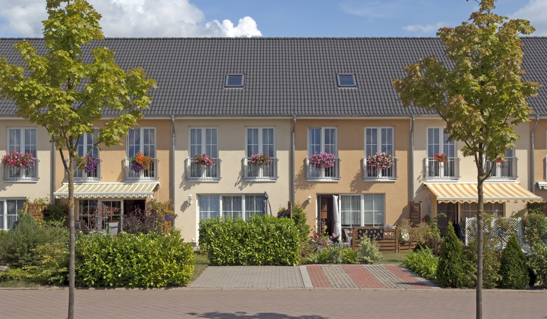 Haus Wohnung Kaufen Oensingen Shushanik Khardziani