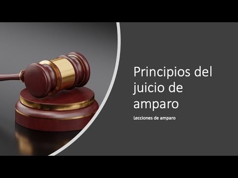 Principios Del Juicio De Amparo | Constitucionalistas Mexicanos