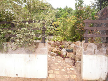 R0015927.jpg