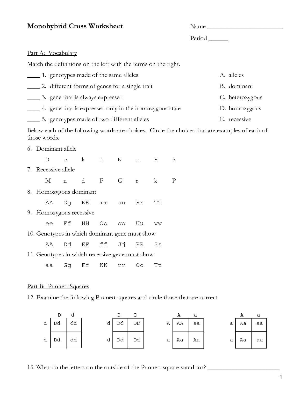 30 Monohybrid Punnett Square Practice Worksheet Answers ...