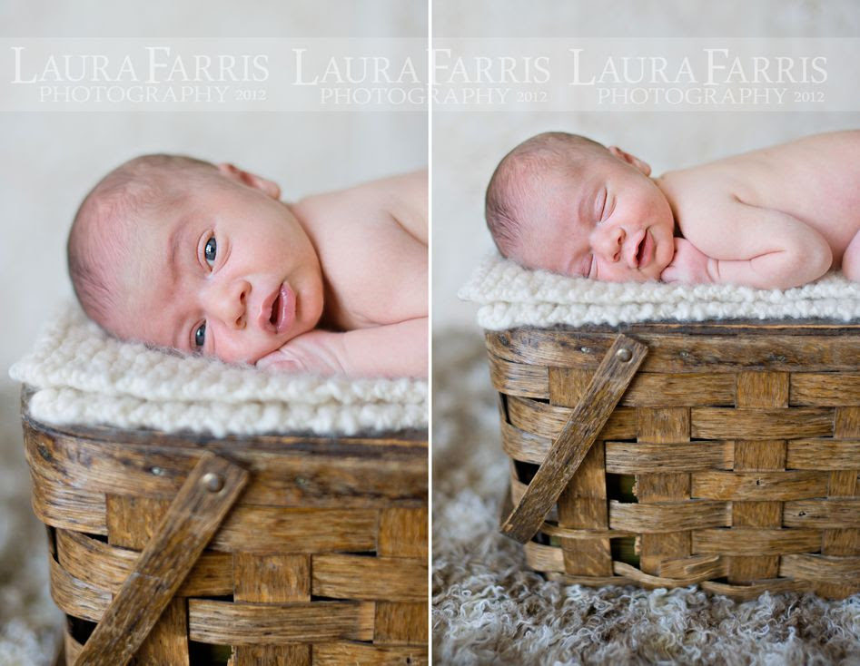 boise newborn baby photographers