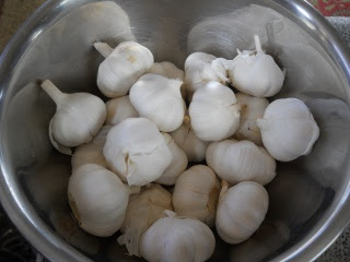 Preserving Garlic - Bowl of Garlic Bulbs