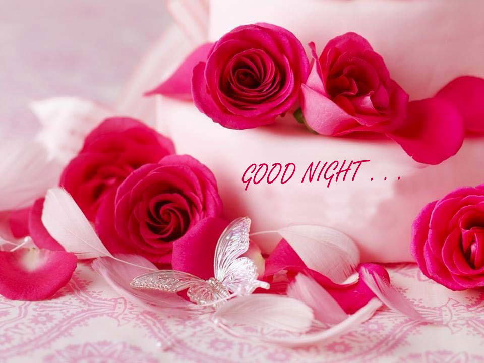 Good Night Images Rose Flowers Hd Blogs Nature Wallpaper