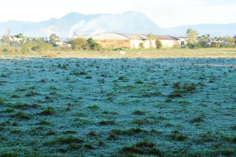 Em Bom Retiro, Joinville/SC, a geada deixou o campinho branco:imagem 3