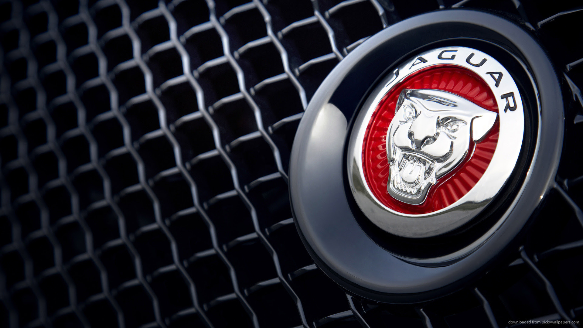 Jaguar Car Logo 4k Wallpaper