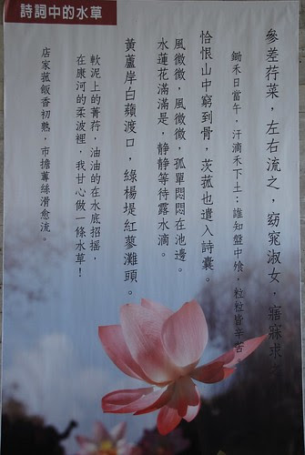 DSC_0098.JPG