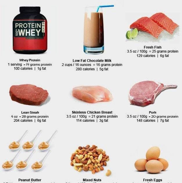 Protein Intake