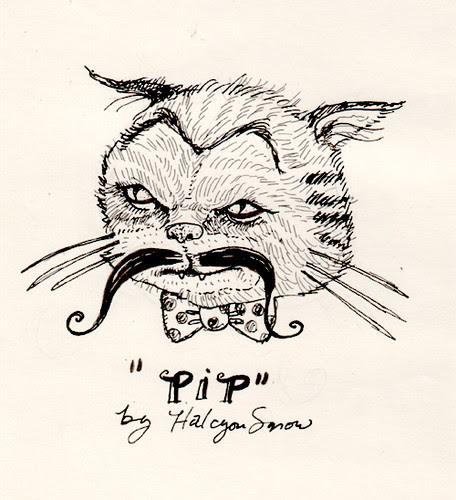 Pip by halcyonsnow