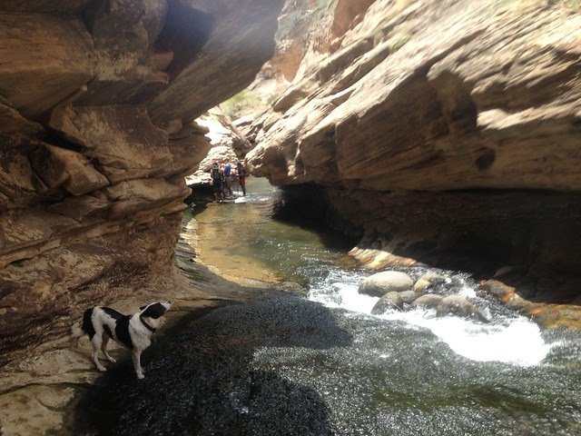 Death Hollow Narrows