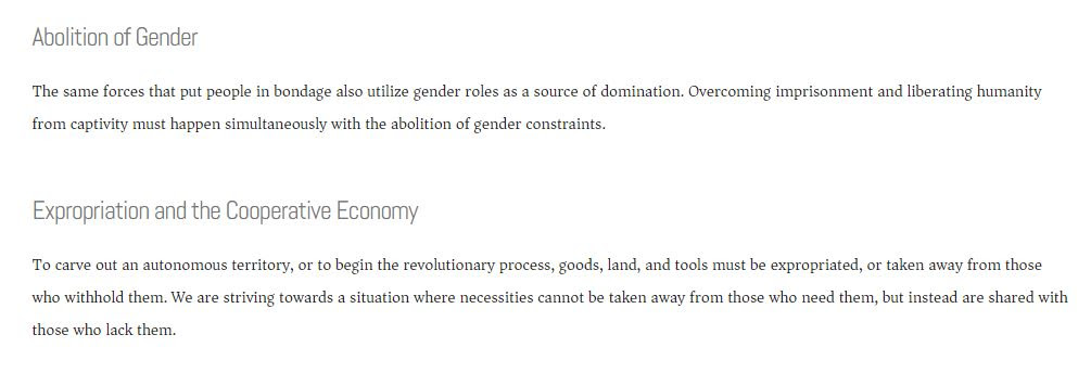 Revolutionary Abolitionist Movement (Screenshot: RAM website)
