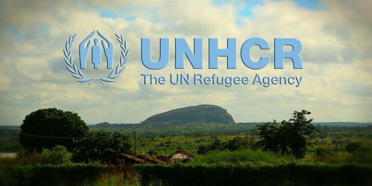 best cover letter for unhcr