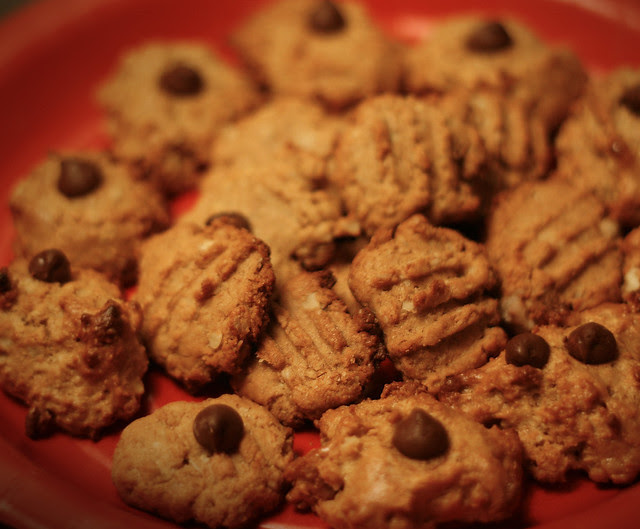 pb cookies close up