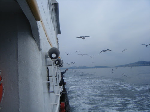 islands1