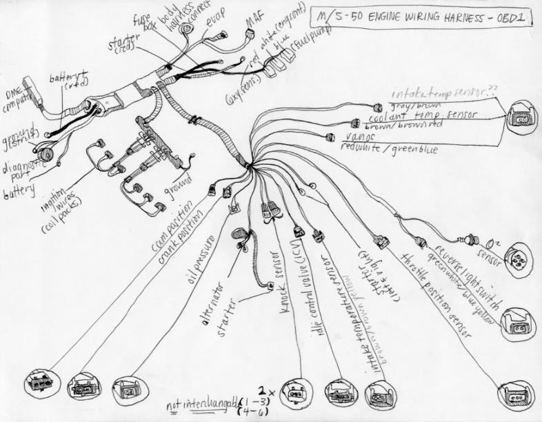 M50 Wiring Diagram