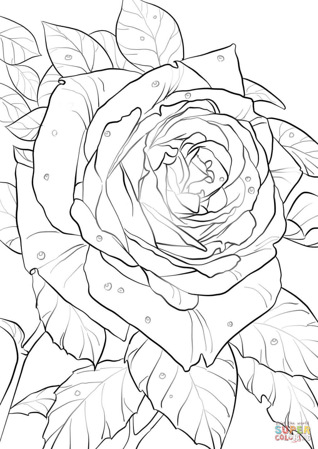 36 Ausmalbilder Herz Mit Rosen Besten Bilder Von Ausmalbilder