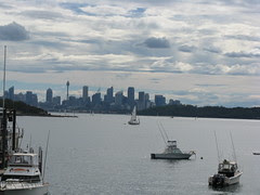 the view from watson's bay (?)