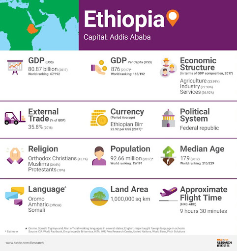 Image result for ethiopia economy infographic