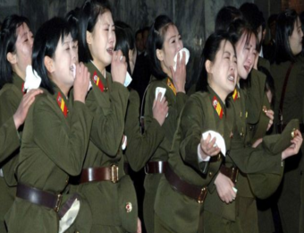 nk_cult.png nk_cult.png