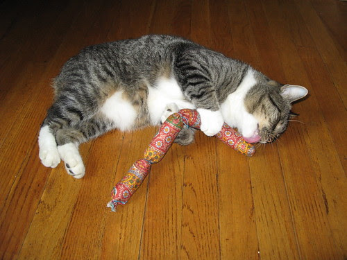 Murderface and his Hot Cat
