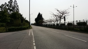 大嶼山の道路