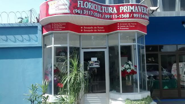 Floricultura Primavera