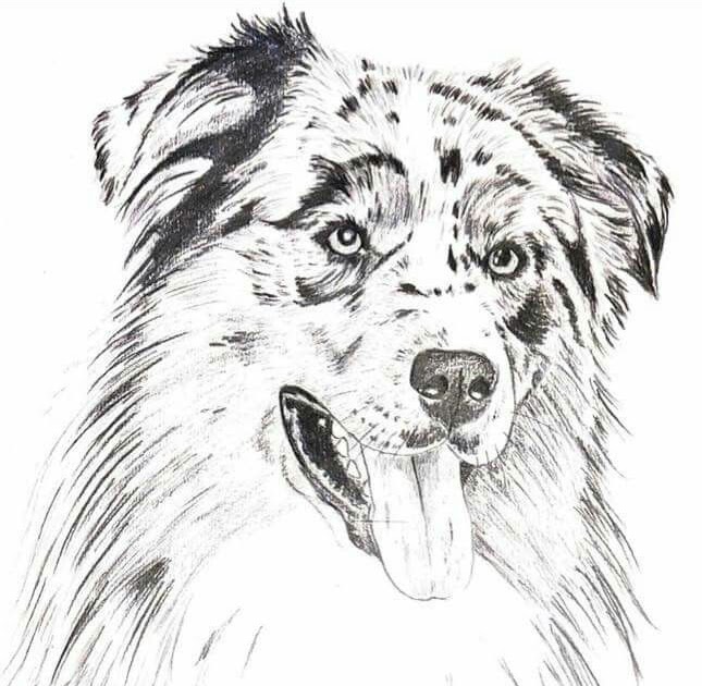【2020年の最高】 犬 塗り絵 リアル Nurieiscoloring 無料のぬりえ画像