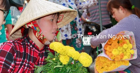 Vietnam || Sa Dec Market on the Lunar New Year 2019