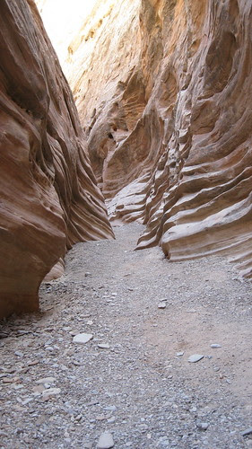 03.27.10 Little Wild Horse Canyon