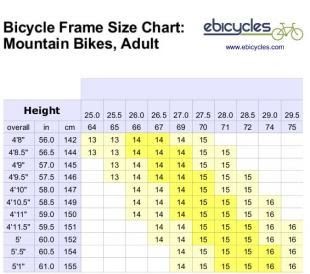metal bottle holder for bike