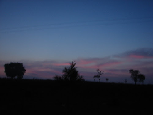 Dawn at bandipur