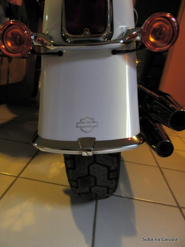 abril 2011 040