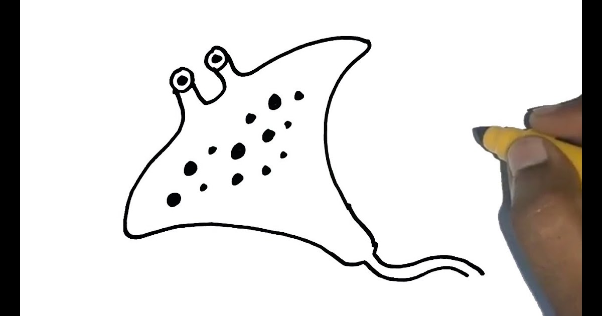 How To Draw Realistic Sea Animals