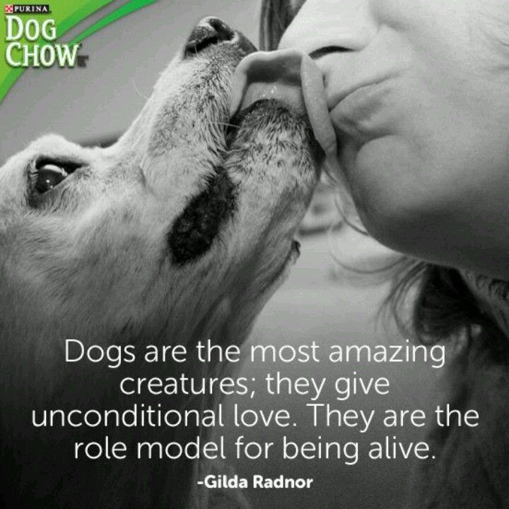 Dog Devotion Quotes. QuotesGram Dog Devotion Quotes. QuotesGram