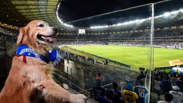 http://extra.globo.com/esporte/21234940-e02-246/w640h360-PROP/cao.jpg
