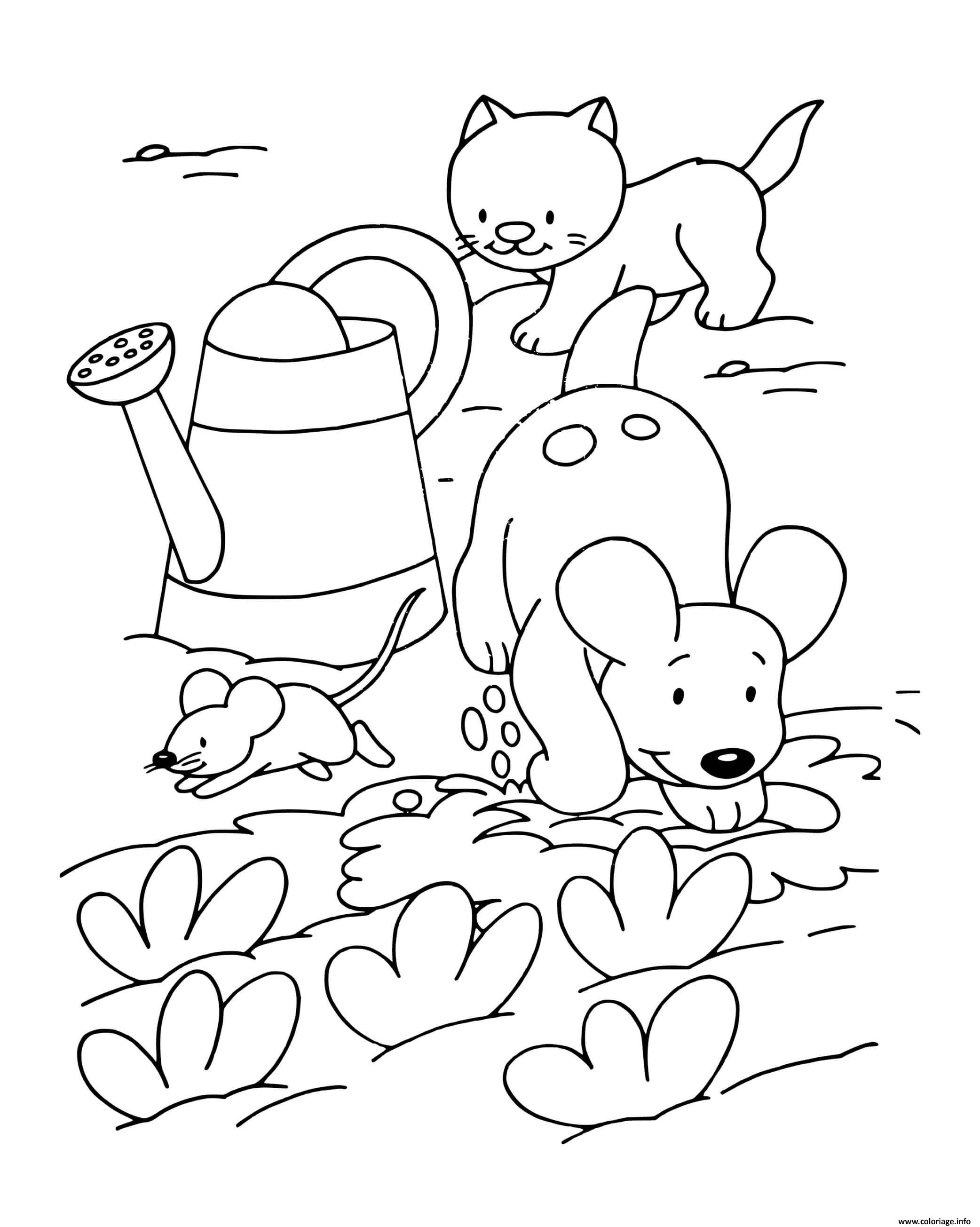 View 35 Coloriage De Chien Et Chat A Imprimer