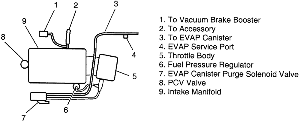 29 Gm 3.8 Engine Vacuum Line Diagram - Wiring Database 2020